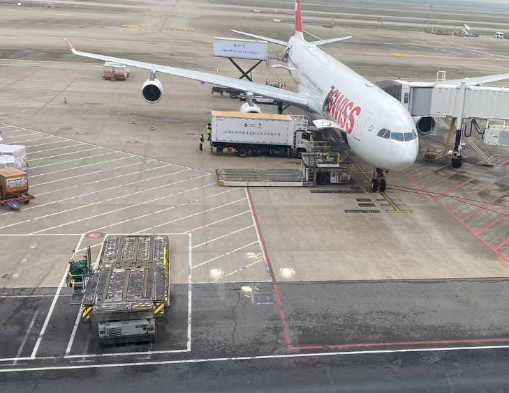 International shipment preparation
